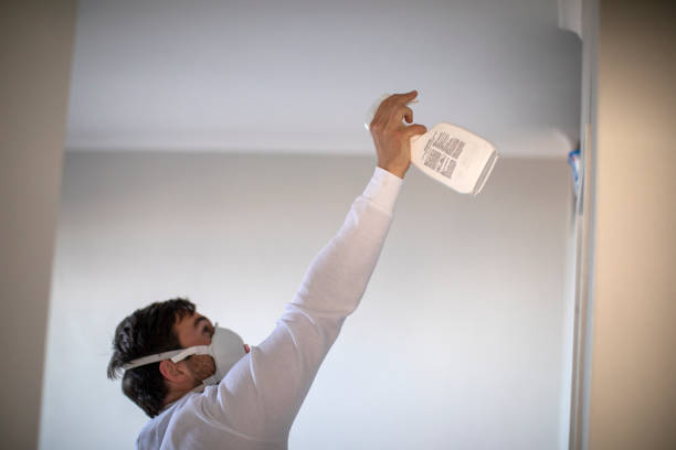 Best Kitchen Mold Remediation in Coram, NY